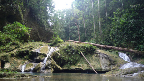 Mataniko Falls near Honiara